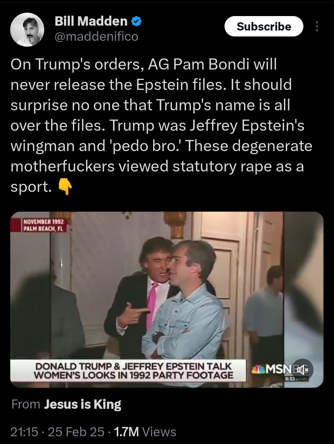 Trump was Jeffrey Epstein's wingman and 'pedo bro.'